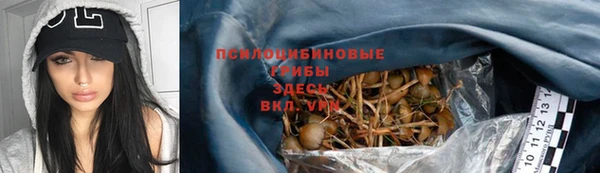 соль курить ск Алексеевка