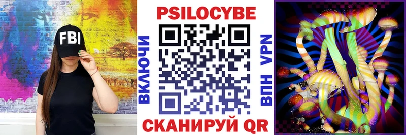 hydra как зайти  Чкаловск  Псилоцибиновые грибы мухоморы 